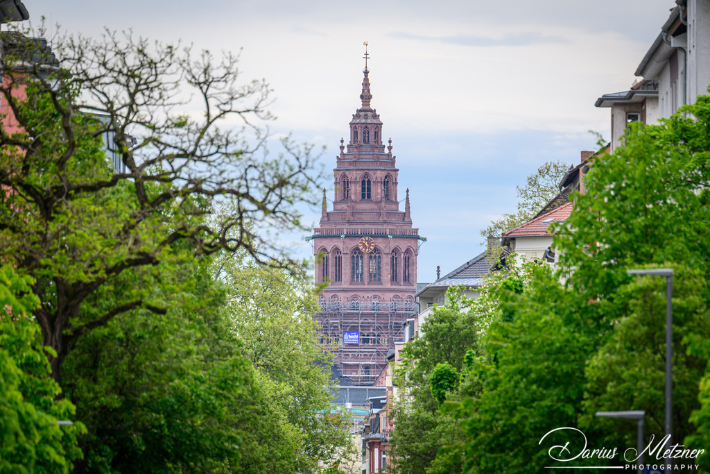 Der Mainzer Dom | Der Mainzer Dom fotografiert aus der Boppstrasse in Mainz