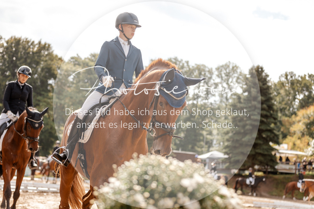 3I6A7012 | Stimmungsvolle Portraits und Reitsportfotografie im Ruhrgebiet und im Münsterland.

Pferdefotografie, Hundefotografie, Tierfotografie, Reportagen, Portraits von Tier und Mensch, Turnierfotografie in Bochum, Recklinghausen, Marl, Haltern am See, Dülmen.. - Realisiert mit Pictrs.com