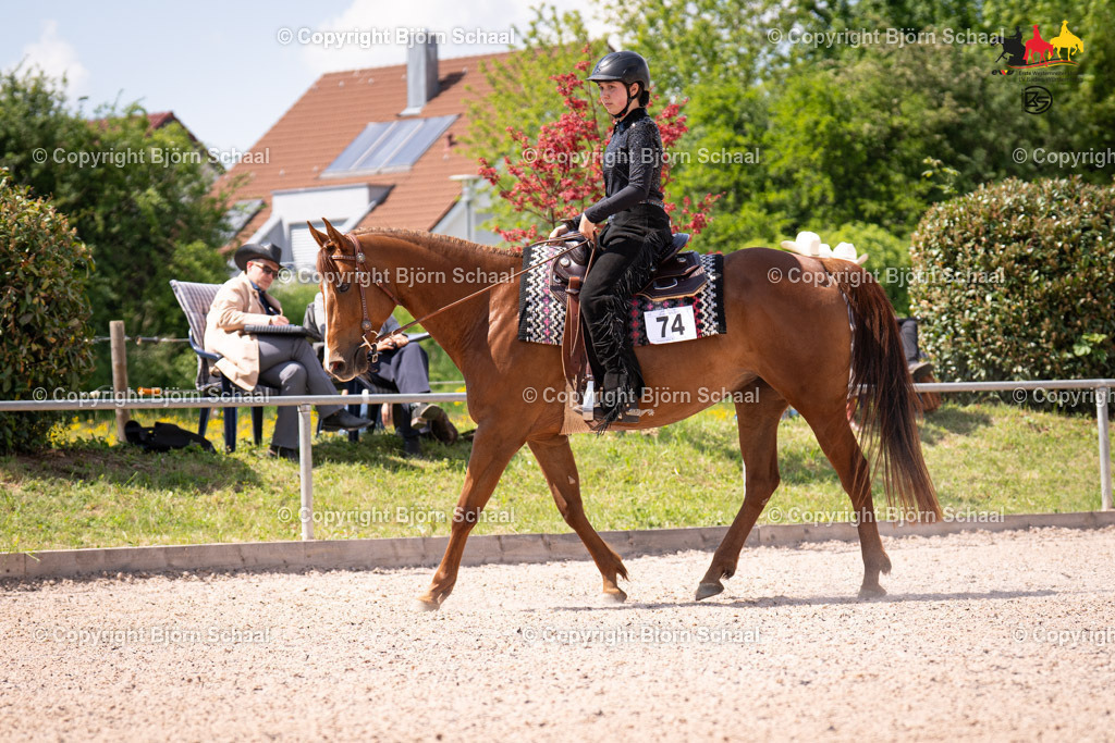 LMB08084 | BS-foto