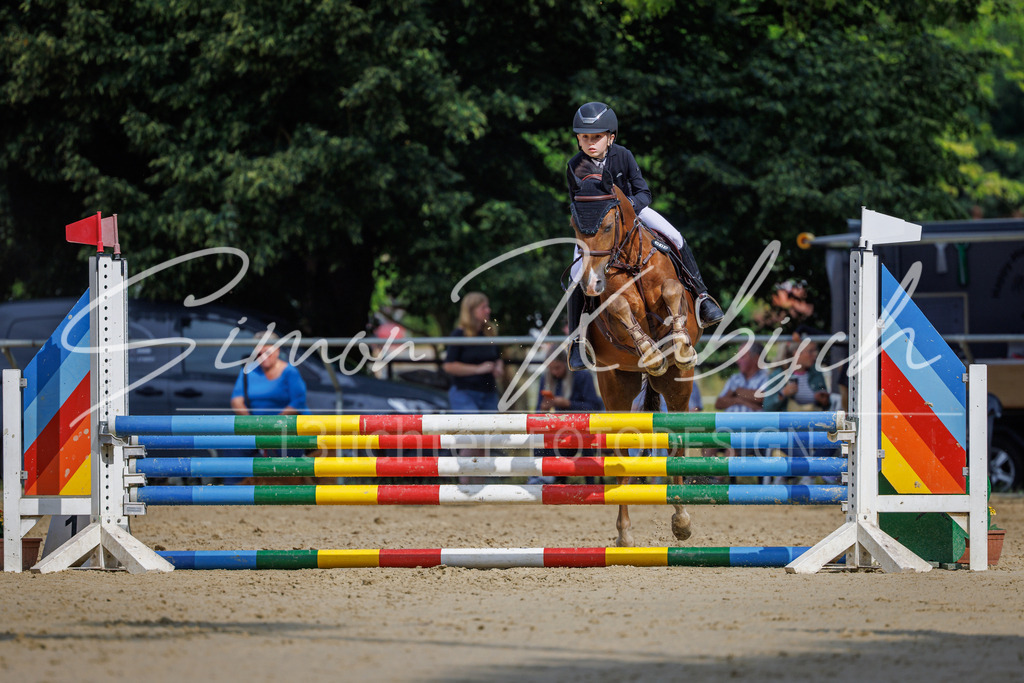 20260705-_3LI3928 | Tierfotografie Pferde, Hunde, Katzen, Haustiere.
Turnierfotografie Reitturniere, Reiten, Springreiten, Dressur in Hanau, dem Main-Kinzig-Kreis und dem Rhein-Main- Gebiet um Frankfurt