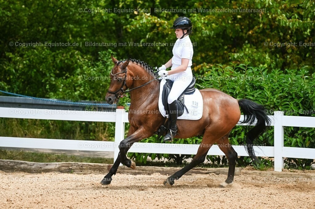 20230715_05_Dressurprüfung Kl.A++_0041 | equistock