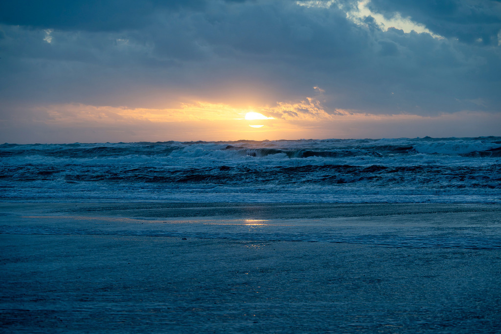 251028_Texel_3497_mr | Entdecke exklusive Fotografie im muebri Shop: Stimmungsvolle Motive  Naturaufnahmen und mehr. Jetzt hochwertige Wandbilder und Fotoabzüge online kaufen! - Realisiert mit Pictrs.com