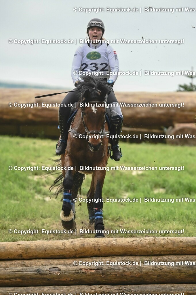 20230513_CCI2_Section2_Gelände_0507 | equistock