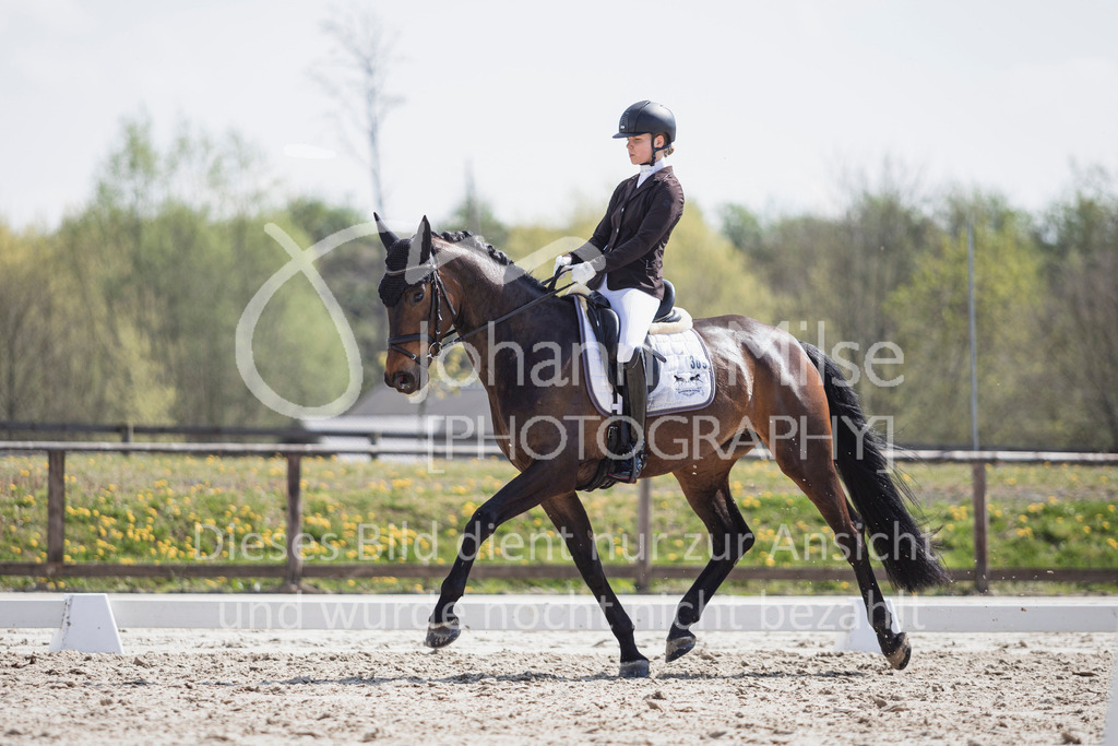 250416_Dressurpferde-L-232 | Deine schönsten Turniermomente als professionelle Fotos! Entdecke hochwertige Pferdesport-Fotografie im Online-Shop. Jetzt Fotos finden & bestellen!