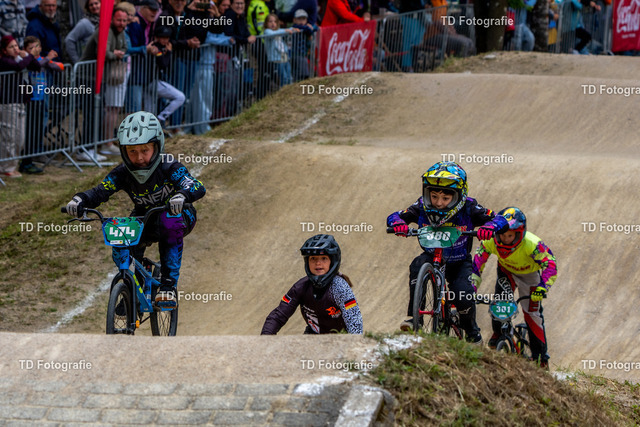 BayBMX2026-05774 | Fotogalerie von Thomas Dettweiler mit Eventbildern und lizenzfreien Fotos. Perfekt als Wandbild, für Büro, Website oder private Nutzung. - Realisiert mit Pictrs.com