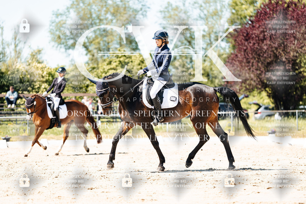 CK905311 | Turnierfotografie Pferdefotografie Trier Rheinland-Pfalz Pferdesport Reitsport Tierfotografie Sportfotografie Pferdevideo Pferdevideografie Equestrianvideography equestrianphotography  - Realisiert mit Pictrs.com