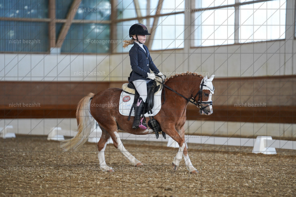20240824-FAH07007 | Thierhaupten 2024, Bayerisches Landesponyturnier, Turnierbilder, Ponybilder, Turnierfotografen Bayern, Fotoagentur Herrmann