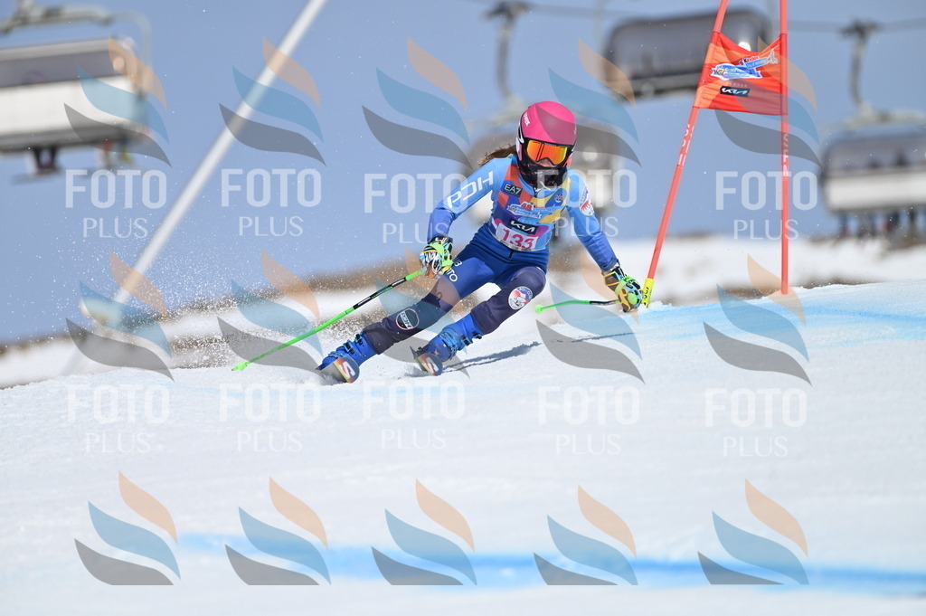 BGV_0029 | holidayphoto