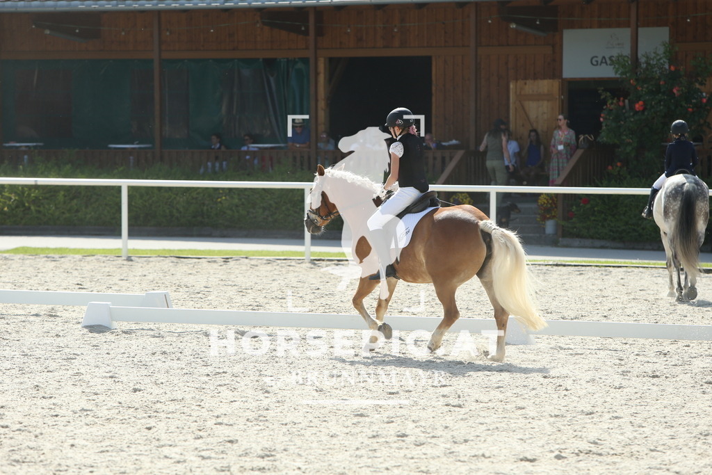 DL2Q0937 | Willkommen bei Brunnmayr - Design & Fotografie – Ihrem Spezialisten für Reitturniere und Pferdeveranstaltungen in Oberösterreich, Salzburg und Bayern! Seit über 17 Jahren sind wir leidenschaftlich dabei.