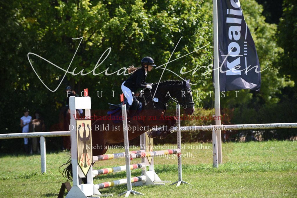 DSC_9593 | Pferde- und Turnierfotografie in Westsachsen. Pferdeportraits, Auftragszeichnungen und intuitive Kunst.