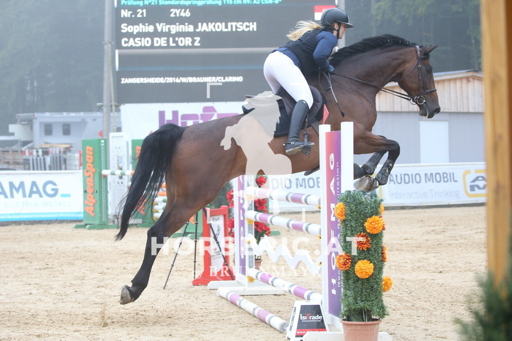 DL2Q3399 | Willkommen bei Brunnmayr - Design & Fotografie – Ihrem Spezialisten für Reitturniere und Pferdeveranstaltungen in Oberösterreich, Salzburg und Bayern! Seit über 17 Jahren sind wir leidenschaftlich dabei.