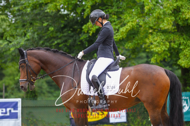 DKP41788 | Turniersportfotografie; Pferdefotografie; Dressurfotografie