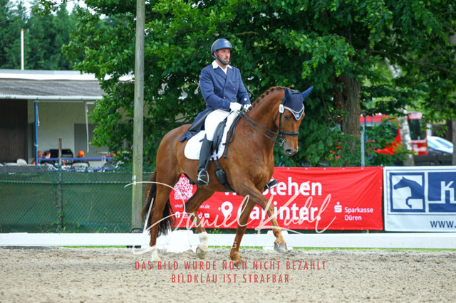 DKP41478 | Turnierfotos kaufen im Webshop von Daniel Kuhl Photography – entdecke professionelle Reitsportfotos aus Turnieren & Events. Hochwertige Turnierbilder online bestellen & sichern. Jetzt Fotos von Reitsportturnieren kaufen!