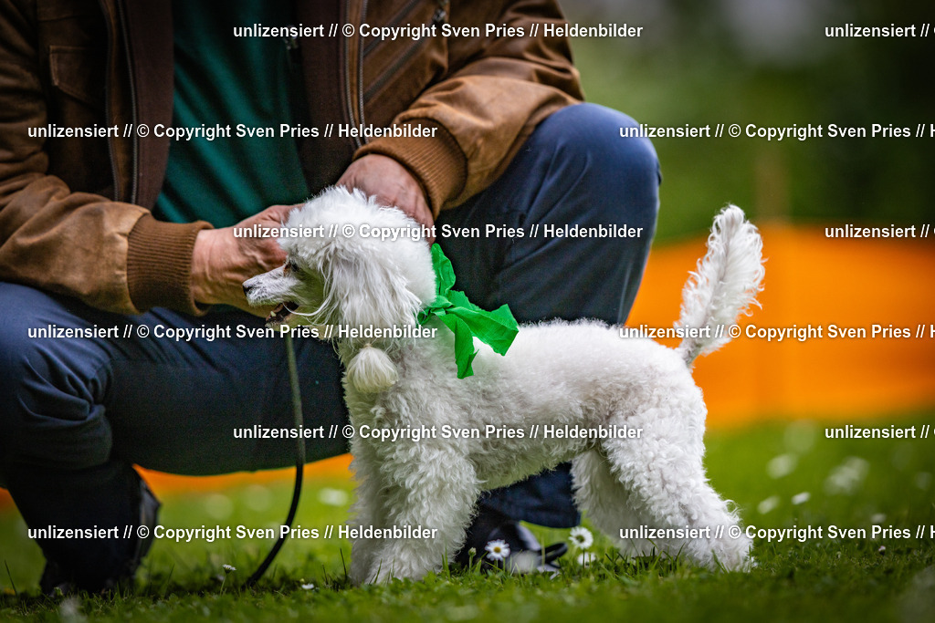 Sven Pries | 2025-05-29 - Pudelrennen KA-Durlach - Realisiert mit Pictrs.com