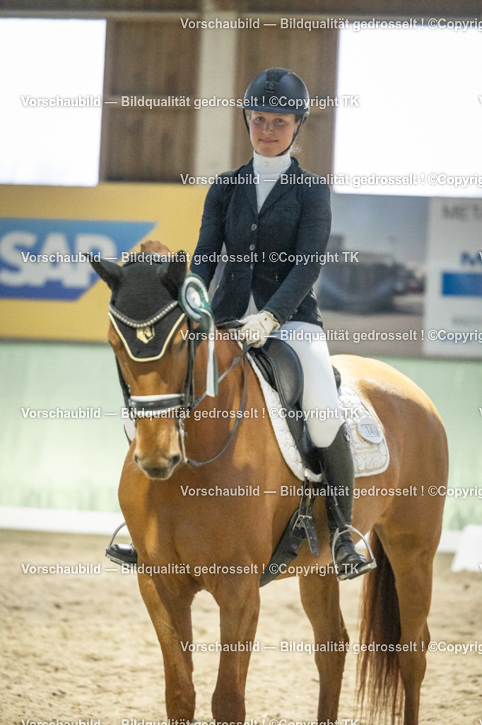 _D5A3800 | Emotionale Pferde- & People-Fotografie rund um Heidelberg, Leimen & Umgebung. Natürliche Fotos von Pferd, Mensch & Familie. Jetzt Termin sichern!