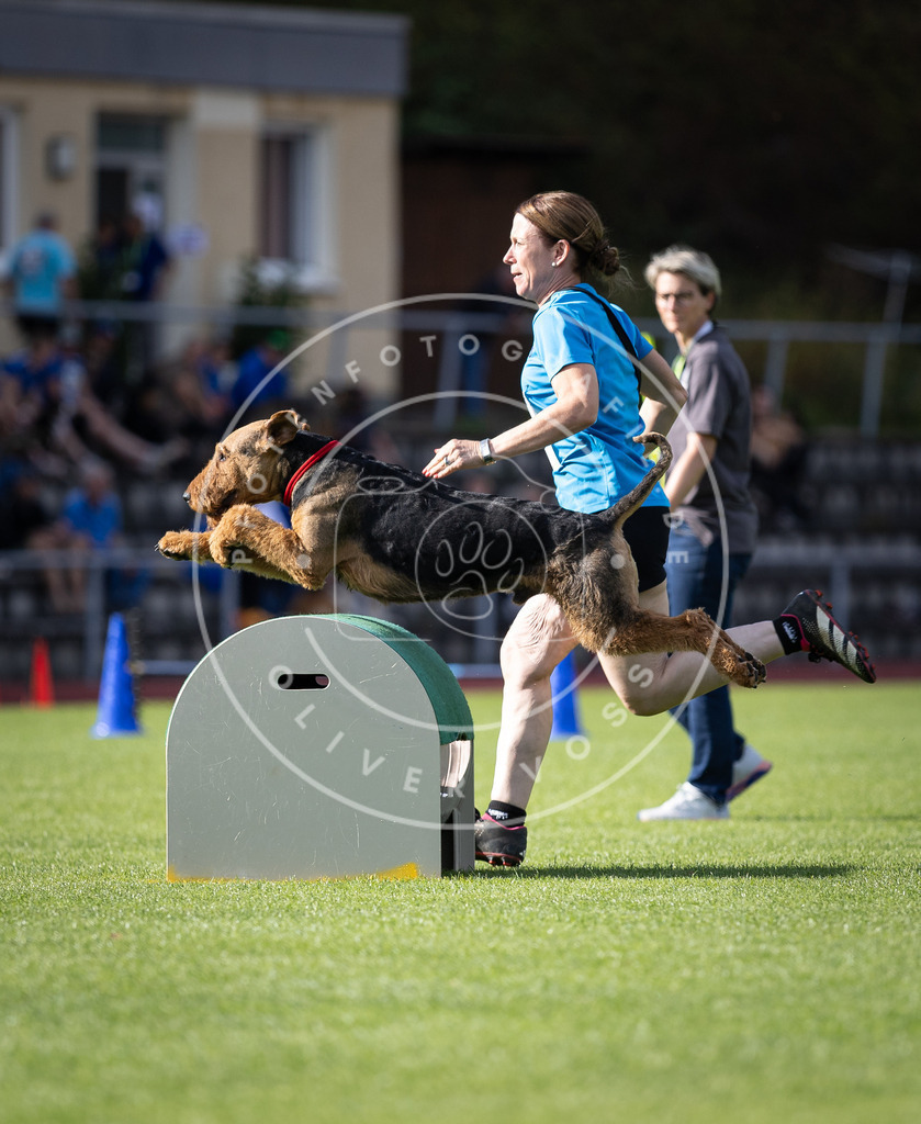 Pfotenfotografie_DV3A1965 | Hundefotografie, Tierfotograf, Pfotenfotografie, Fotoshooting Hund, Hunde Portrait, Hundesport, Hundeportraits, Heideshooting, Hunde, Sportfotograf, Hundefotograf, Turnierhundsport, THS,  - Realisiert mit Pictrs.com
