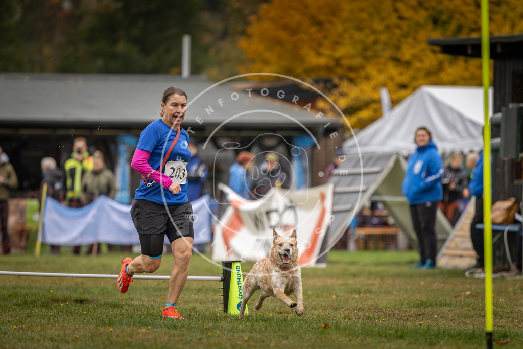 Pfotenfotografie_DV3A1657 | Hundefotografie, Tierfotograf, Pfotenfotografie, Fotoshooting Hund, Hunde Portrait, Hundesport, Hundeportraits, Heideshooting, Hunde, Sportfotograf, Hundefotograf, Turnierhundsport, THS,  - Realisiert mit Pictrs.com