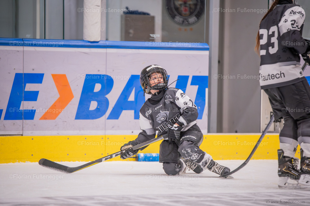 DSC_1370 | "Fussifoto.com – Ihr Ansprechpartner für hochwertige Fotografie! Entdecken Sie kreative Bilder und professionelle Dienstleistungen. Kontaktieren Sie uns für Ihre Projekte!"