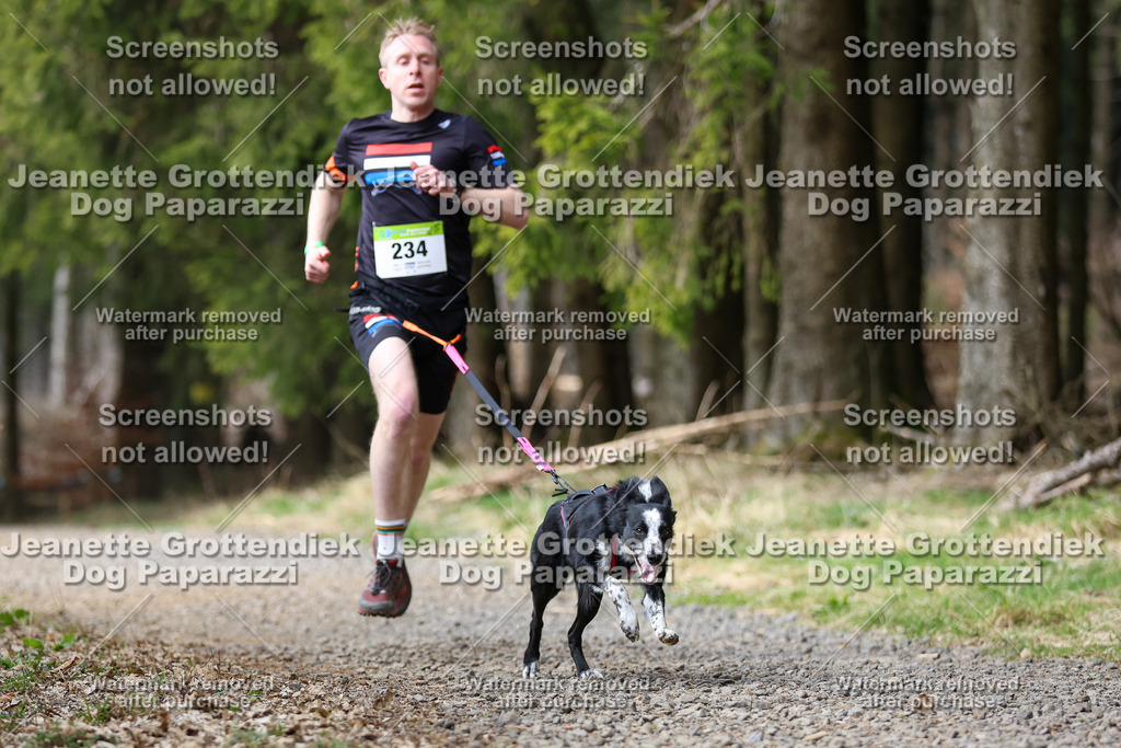 Dog Paparazzi - VCC26-295 | Dog Paparazzi Jeanette Grottendiek Fotografie & Videografie - Realisiert mit Pictrs.com