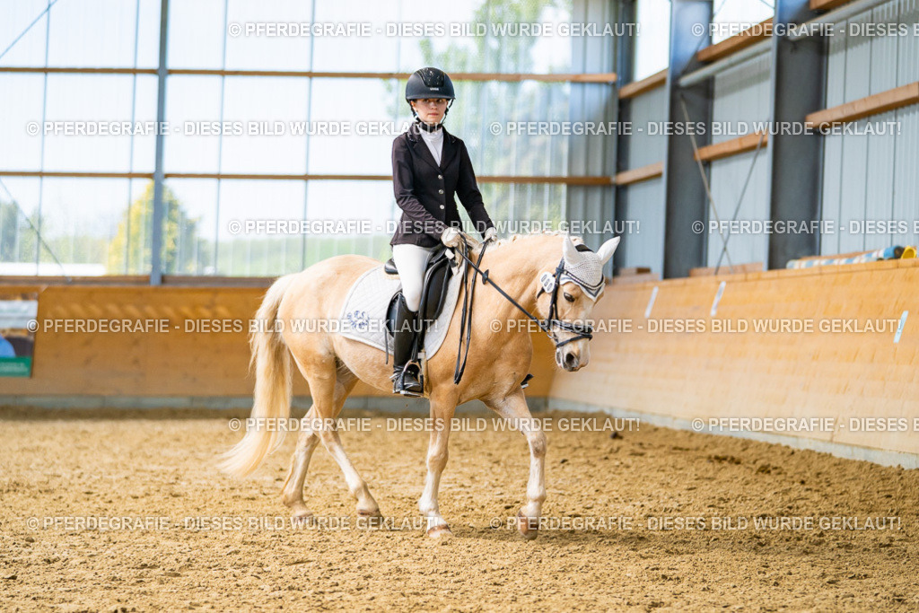 DSC09595 | Pferdegrafie