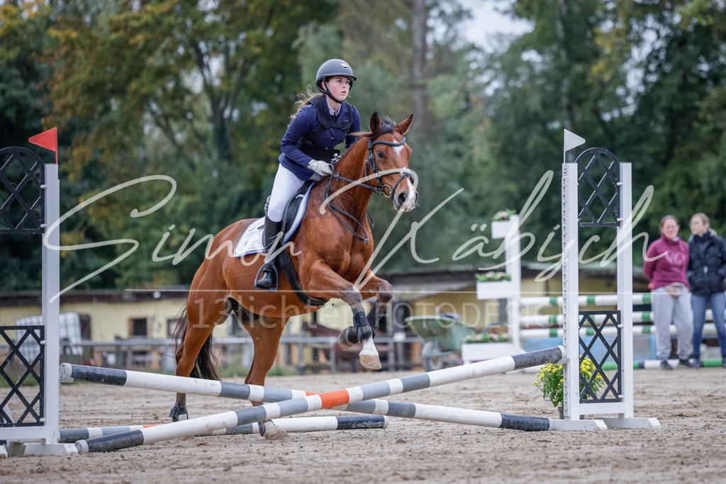 20251012-_3LI2815 | Tierfotografie Pferde, Hunde, Katzen, Haustiere.
Turnierfotografie Reitturniere, Reiten, Springreiten, Dressur in Hanau, dem Main-Kinzig-Kreis und dem Rhein-Main- Gebiet um Frankfurt