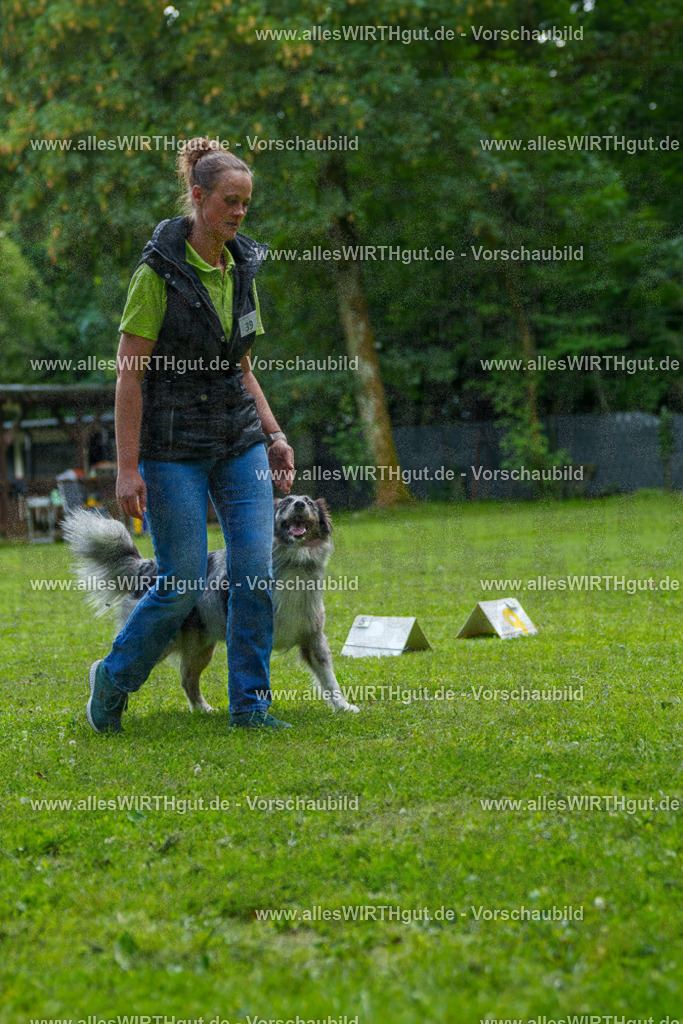 @allesWIRTHgut_Tierfotografie - www.allesWIRTHgut.de - 7R504769 | Professionelle Tierfotografie in Mönchengladbach von Daniel Wirth (allesWIRTHgut). Liebevolle & natürliche Bilder von Hunden & Katzen für unvergessliche Erinnerungen.