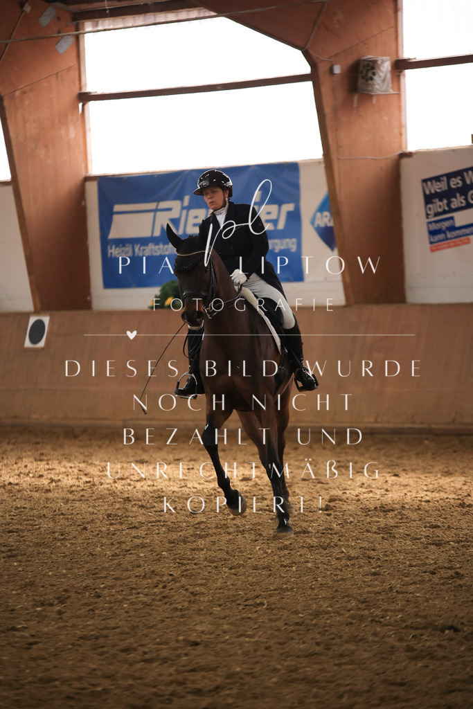 IMGT5009 | pl-fotografie