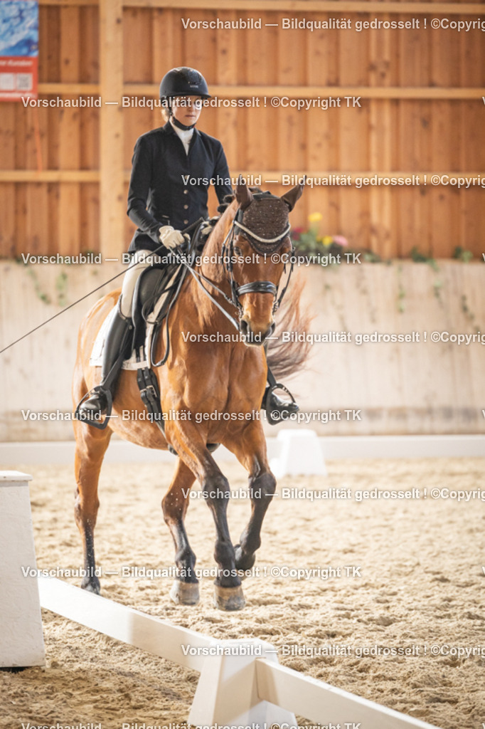 _D5A9440 | Emotionale Pferde- & People-Fotografie rund um Heidelberg, Leimen & Umgebung. Natürliche Fotos von Pferd, Mensch & Familie. Jetzt Termin sichern!