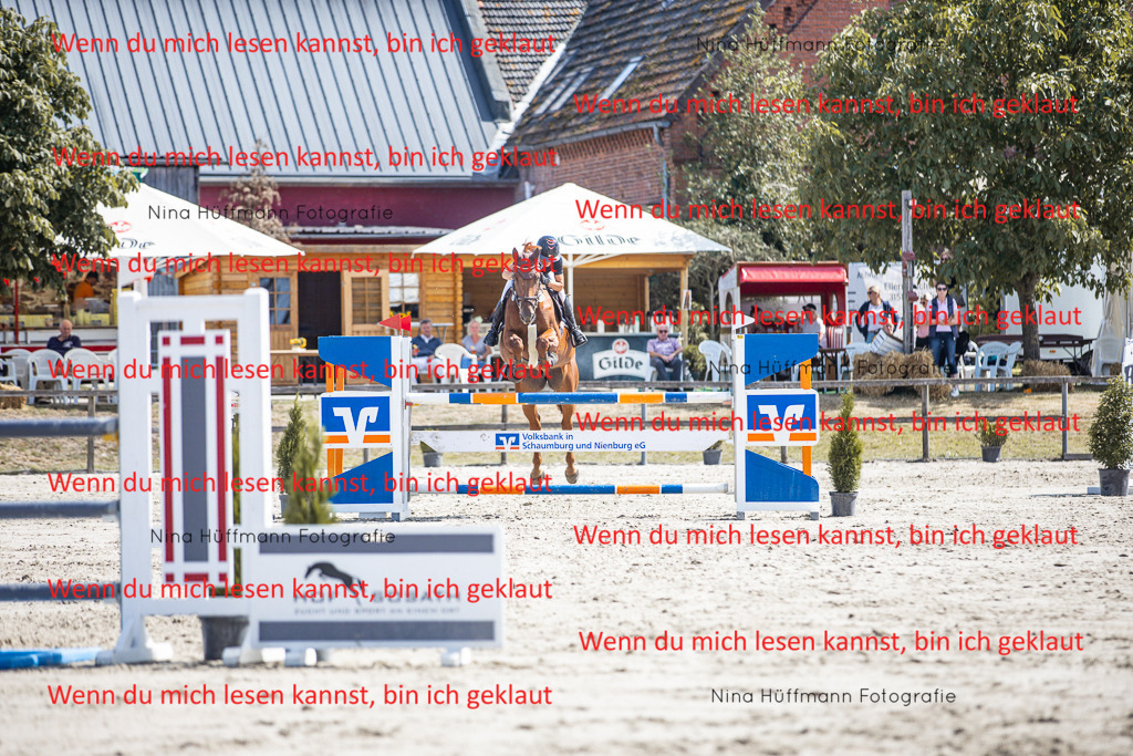BK1A6510 | Turnierbilder Turnierfotos Nina Hüffmann Turnierfotografie Pferdefotografie Tierzeichnung Haustierzeichnung Pferdezeichnung Hundezeichnung Videograf  - Realisiert mit Pictrs.com