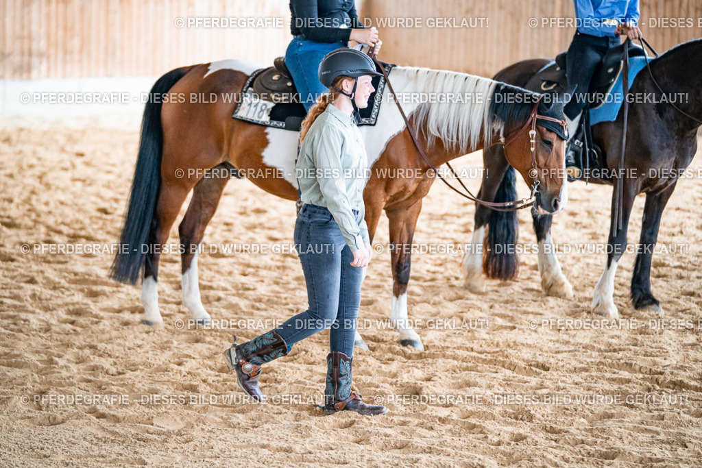 DSC09827 | Pferdegrafie