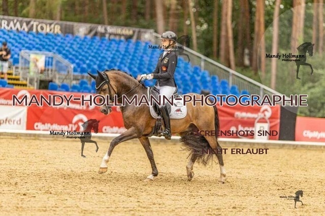 28-8-26 5j DRE-1027 | mandyhollmannphotographie