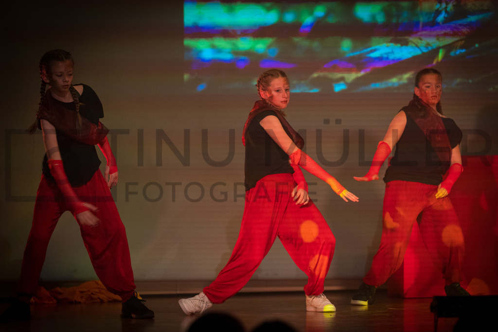 DSC05588 | Tinu Müller Fotografie- Bildershop - Realisiert mit Pictrs.com