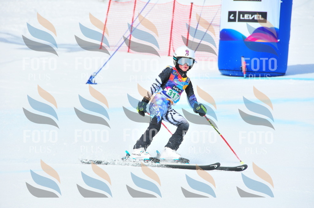 DSC_2920 | holidayphoto