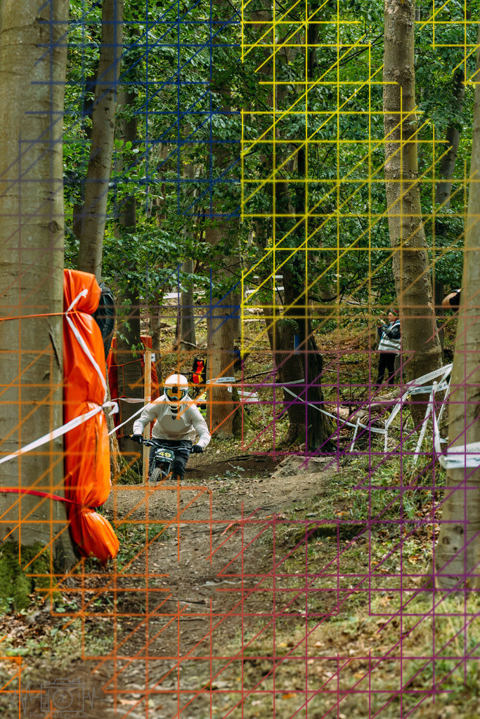 PAE-0351 | Einzigartige Fotokunst für dein Zuhause: Entdecke hochwertige Wandbilder, edle Prints und emotionale Motive von Wildlife, Natur und Landschaften - Realisiert mit Pictrs.com