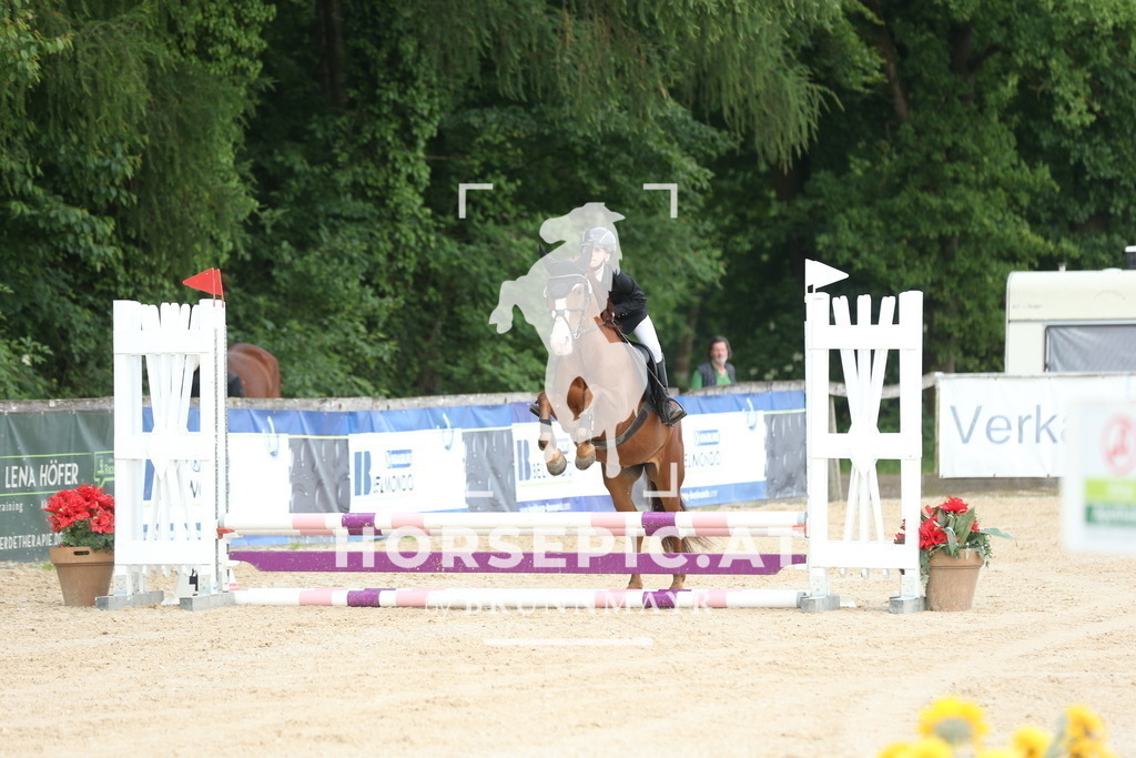 DL2Q4085 | Willkommen bei Brunnmayr - Design & Fotografie – Ihrem Spezialisten für Reitturniere und Pferdeveranstaltungen in Oberösterreich, Salzburg und Bayern! Seit über 17 Jahren sind wir leidenschaftlich dabei.