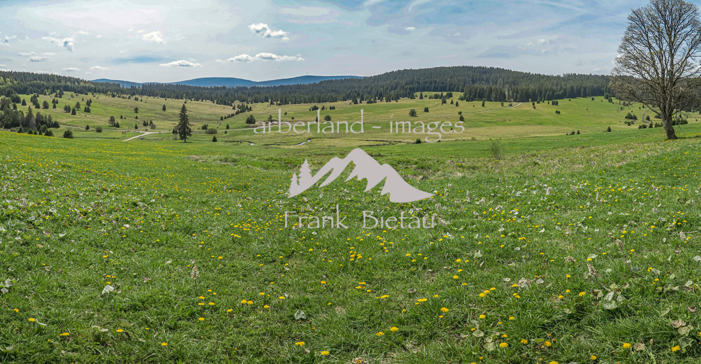IMG_2021-Pano | Ortsbeschreibung :  https://www.bayern-böhmen.de/gabreta/fr.asp?tab=gabreta&amp;id=1186&amp;burl=&amp;pt=TTPR&amp;lng=de