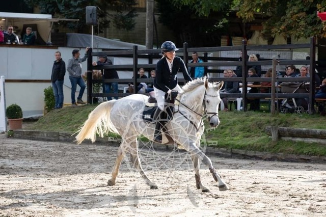 2B4A3706 | pixelfaenger - Realisiert mit Pictrs.com