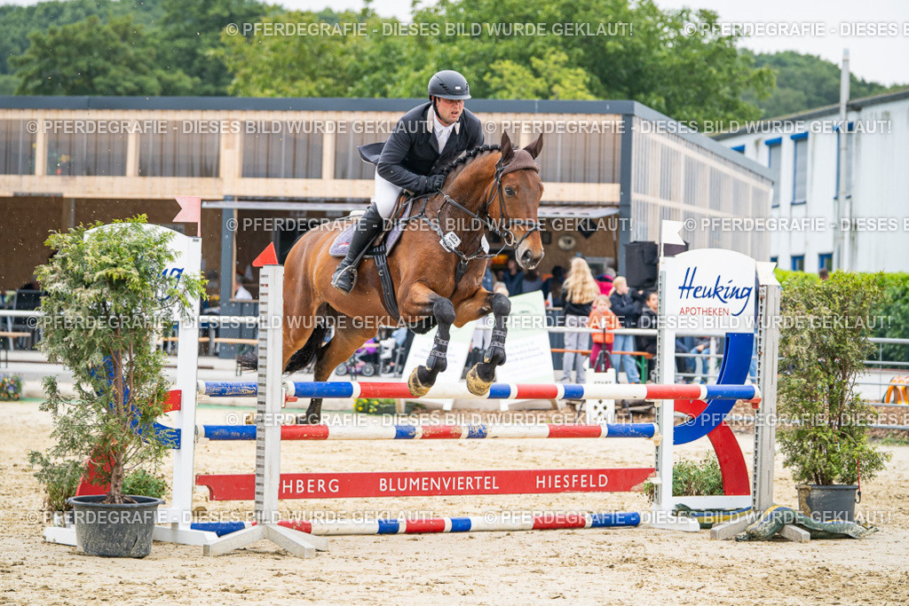 DSC00347 | Pferdegrafie