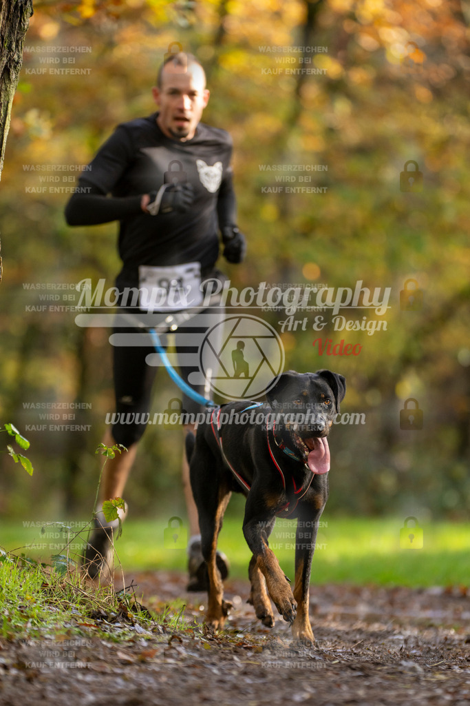 MompixPhotography_Bischwiller23_Canicross-31 | PayLife
