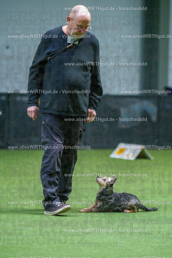 7R506124 | Professionelle Tierfotografie in Mönchengladbach von Daniel Wirth (allesWIRTHgut). Liebevolle & natürliche Bilder von Hunden & Katzen für unvergessliche Erinnerungen.