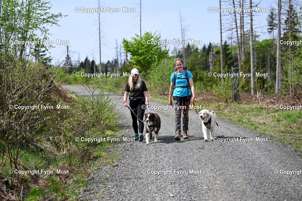 DSC_4003 | Hallo und herzlich Willkommen auf meiner Shop-Seite Fynn Most.

Ich wünsche Dir viel Spaß beim stöbern durch die Bilder, wenn Du Fragen hast oder Bilder vermisst, kannst du mir gerne eine Nachricht schreiben. - Realisiert mit Pictrs.com