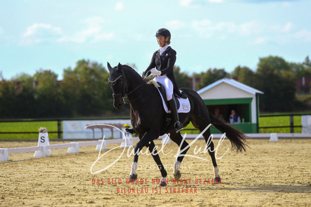 DKP45591 | Turniersportfotografie; Pferdefotografie; Dressurfotografie