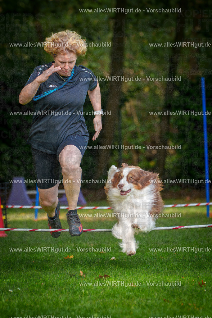 THS_Turnier_27-09-2026-allesWIRTHgut_Tierfotografie-7R506897 | Professionelle Tierfotografie in Mönchengladbach von Daniel Wirth (allesWIRTHgut). Liebevolle & natürliche Bilder von Hunden & Katzen für unvergessliche Erinnerungen.