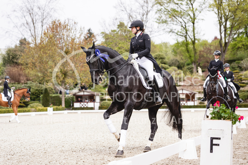 260412_Kronberg_S-Dressur-668 | Deine schönsten Turniermomente als professionelle Fotos! Entdecke hochwertige Pferdesport-Fotografie im Online-Shop. Jetzt Fotos finden & bestellen!