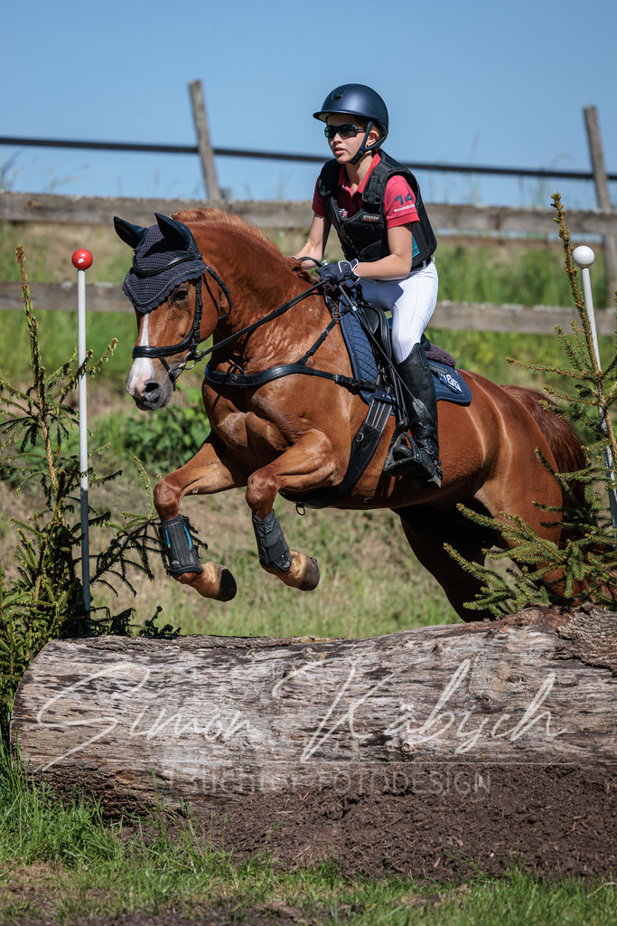 20260523-_3LI7011 | Tierfotografie Pferde, Hunde, Katzen, Haustiere.
Turnierfotografie Reitturniere, Reiten, Springreiten, Dressur in Hanau, dem Main-Kinzig-Kreis und dem Rhein-Main- Gebiet um Frankfurt