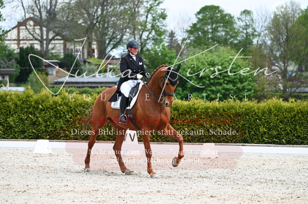 20230513_JK-Röhrsdorf-12-229 | Pferde- und Turnierfotografie in Westsachsen. Pferdeportraits, Auftragszeichnungen und intuitive Kunst.