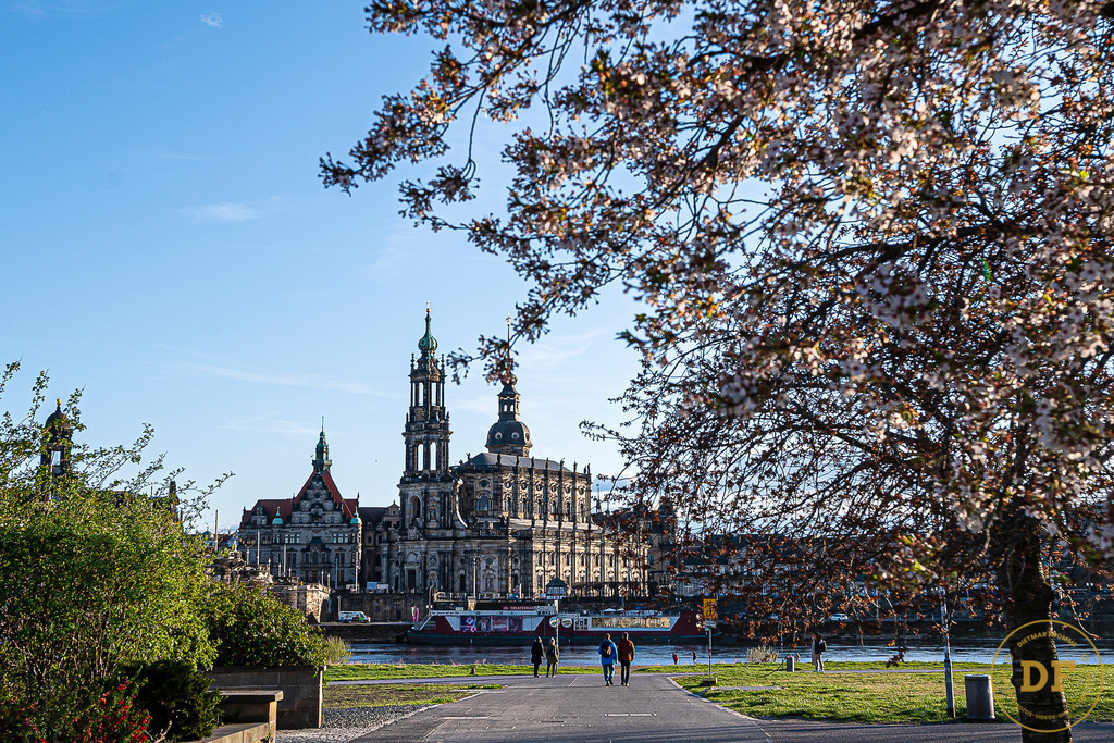 9488-DOM-DD-Blüten-View | Geschenke, Wandbilder und Accessoires mit Motiven aus Dresden und anderen schönen Orten zur Verschönerung Deines zu Hauses und zum verschenken gewünscht? Wähle Deine Lieblingsbild auf dem Produkt Deiner Wahl. 