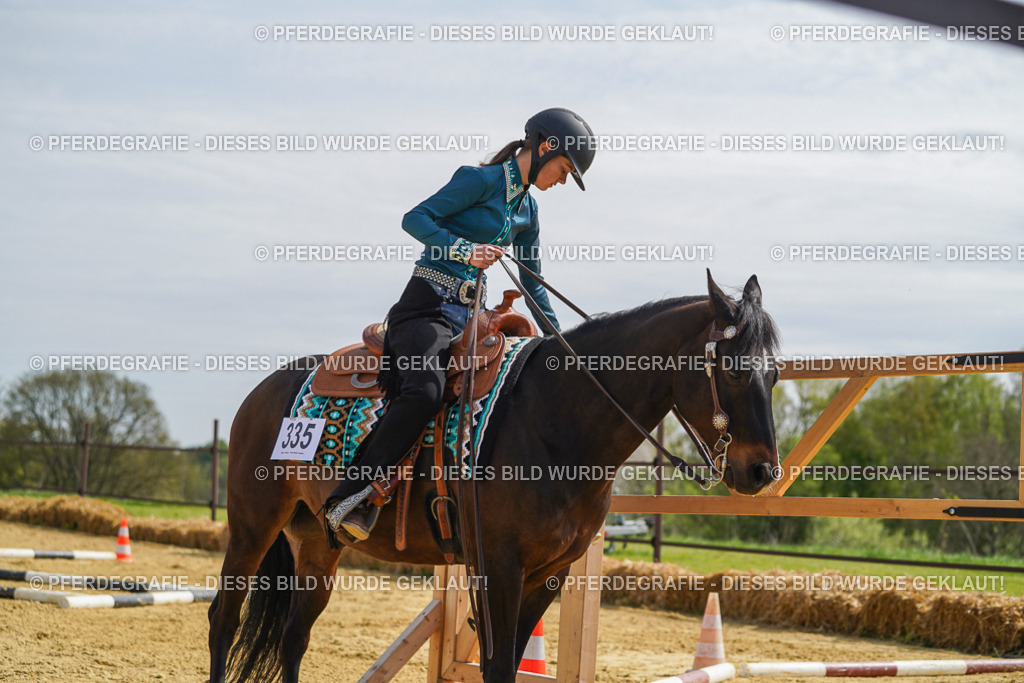 DSC04288 | Pferdegrafie