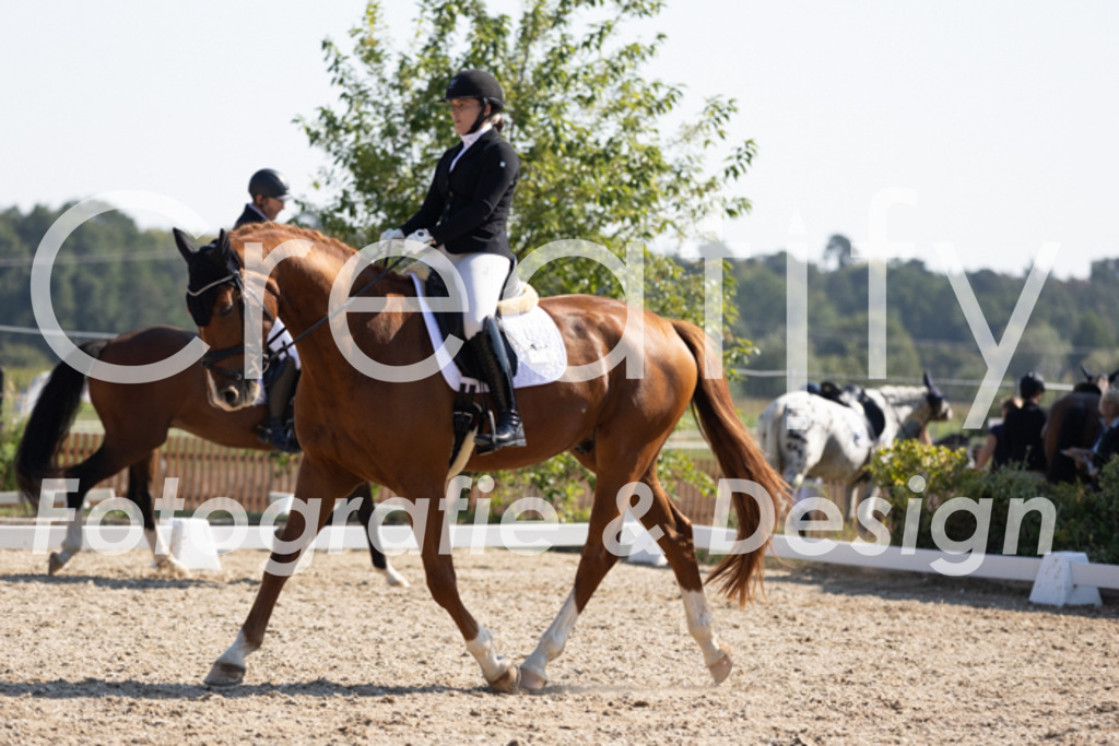 IMG_4701 | Creatify Fotografie