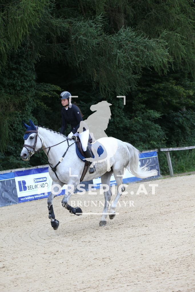 DL2Q4487 | Willkommen bei Brunnmayr - Design & Fotografie – Ihrem Spezialisten für Reitturniere und Pferdeveranstaltungen in Oberösterreich, Salzburg und Bayern! Seit über 17 Jahren sind wir leidenschaftlich dabei.